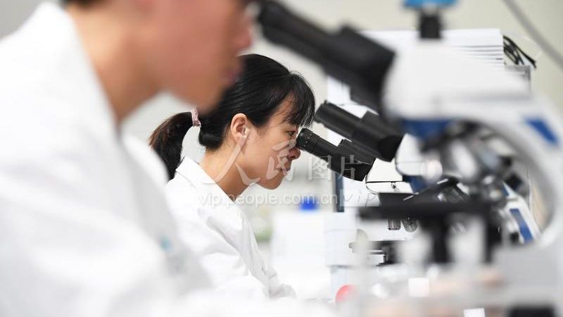 荧光标记引物合成的关键要素与挑战