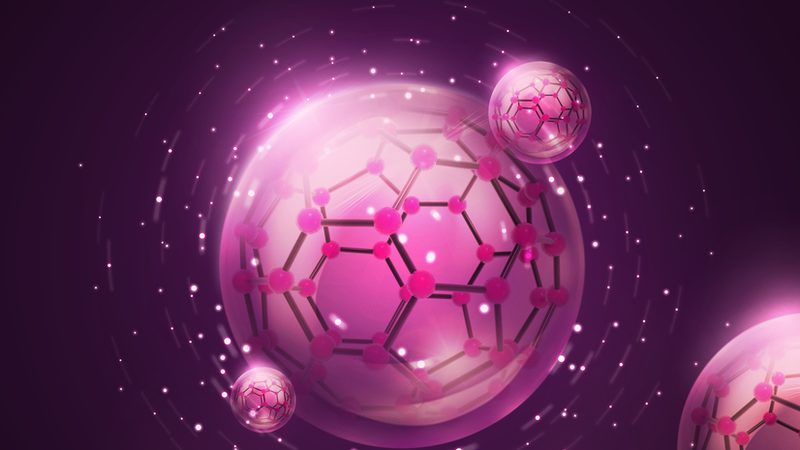 干细胞培养基的选择：揭秘其关键因素与误区