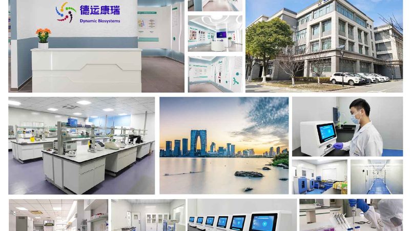 广州引物合成：精准科研的“基石”**