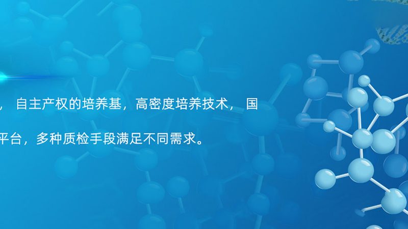 PCR检测定制服务：揭秘定制化背后的关键考量