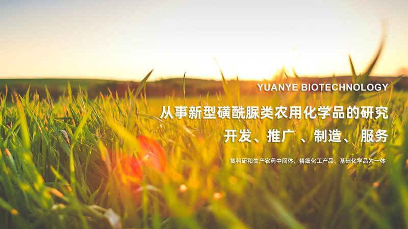 鼻拭子采样，真的有那么疼吗