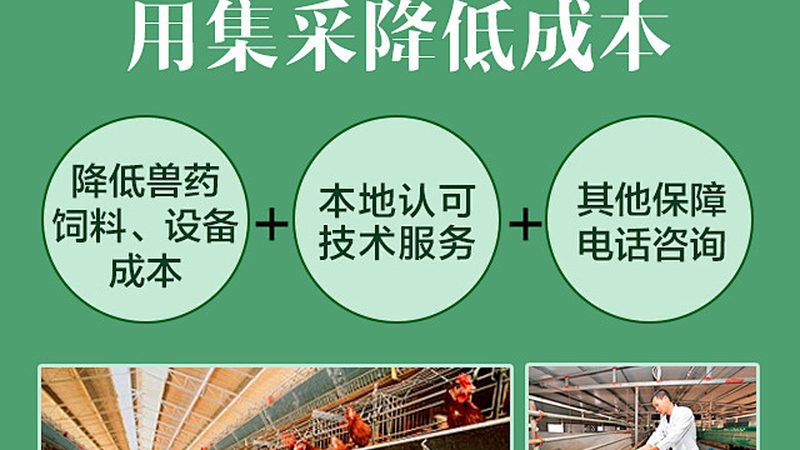 多道移液器：材质与规格的奥秘**
