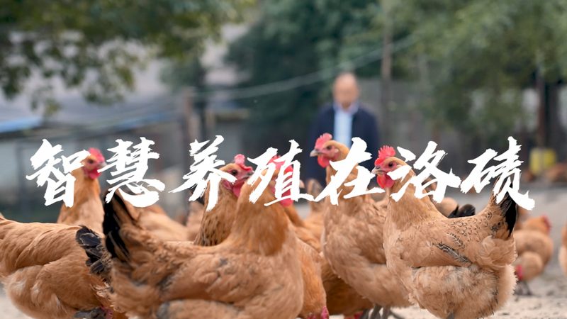 细胞工厂成本核算：关键因素与优化策略