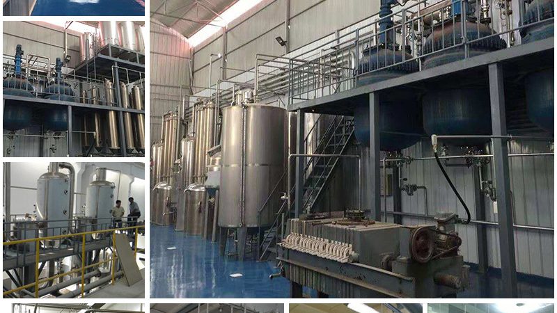 蛋白酶价格：如何选择合适的厂家与产品**