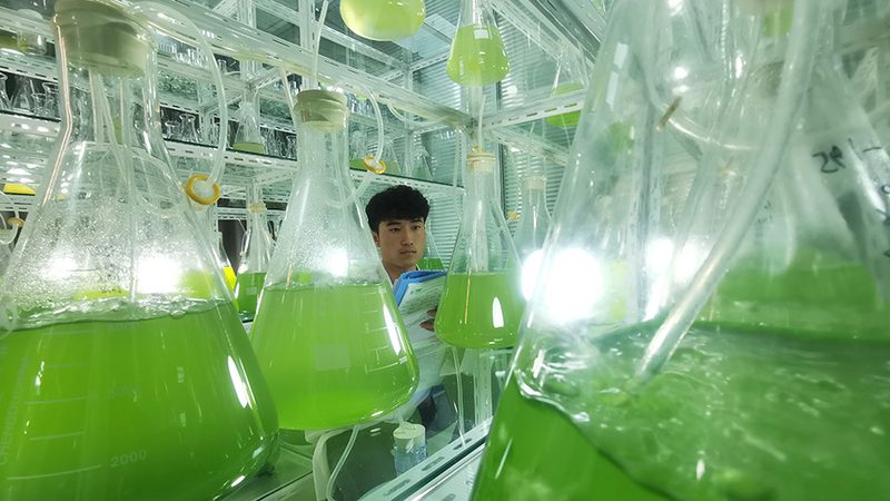 基因检测与基因筛查：揭秘两者间的微妙差别